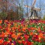 Próxima viagem: Novo desconto do Seguro Viagem Mondial para Abril! Próxima viagem: Novo desconto do Seguro Viagem Mondial para Abril!