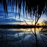 Relato de viagem: Uma viagem para o Amazonas – Introdução (com video) Relato de viagem: Uma viagem para o Amazonas – Introdução (com video)