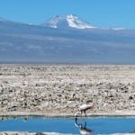 Lugares improváveis: Entre vulcões e flamingos no Salar do Atacama Lugares improváveis: Entre vulcões e flamingos no Salar do Atacama