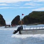 Relato de viagem: Para ver de perto pinguins no Chile – As Pingüineras de Chiloé Relato de viagem: Para ver de perto pinguins no Chile – As Pingüineras de Chiloé