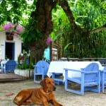 Relato de viagem: Um dia no Quadrado de Trancoso Relato de viagem: Um dia no Quadrado de Trancoso