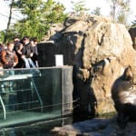 Lugares improváveis: Nova York Animal – Visitando o Central Park Zoo e o New York Aquarium Lugares improváveis: Nova York Animal – Visitando o Central Park Zoo e o New York Aquarium