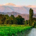 Vivendo e aprendendo: O que fazer em Mendoza – Dicas de Tours e Passeios Vivendo e aprendendo: O que fazer em Mendoza – Dicas de Tours e Passeios