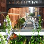 Roteiro cultural: High Line e Chelsea Market, um dos passeios mais gostosos de Nova York Roteiro cultural: High Line e Chelsea Market, um dos passeios mais gostosos de Nova York