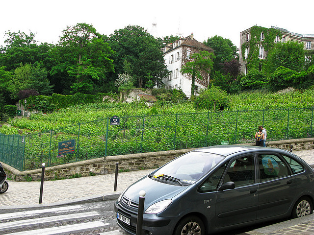 Vinícola em Paris