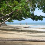 Relato de Viagem: Como chegar em Boipeba e Melhor época para viajar Praia de Tassimirim - Boipeba