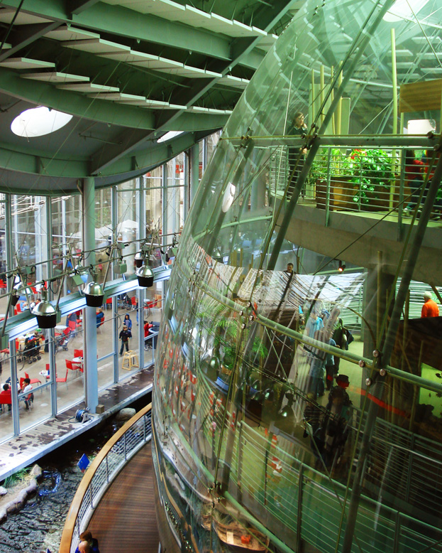 California Academy of Sciences, San Francisco. Foto: Adr.Ben/Blog Vambora