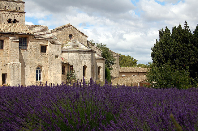 Campos de Lavanda na França Campos de Lavanda na França. Foto: travelingmcmahans, Flickr