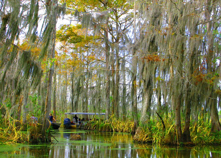 Swamp New Orleans. Foto: GC/Blog Vambora!
