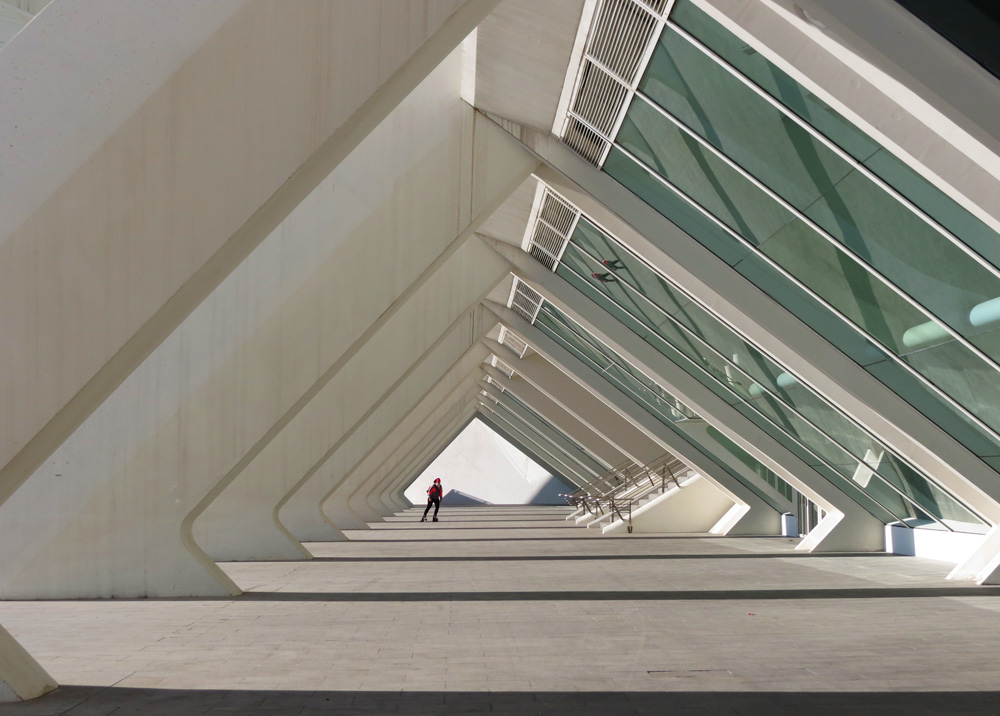  Ciudad de las Artes y las Ciencias 