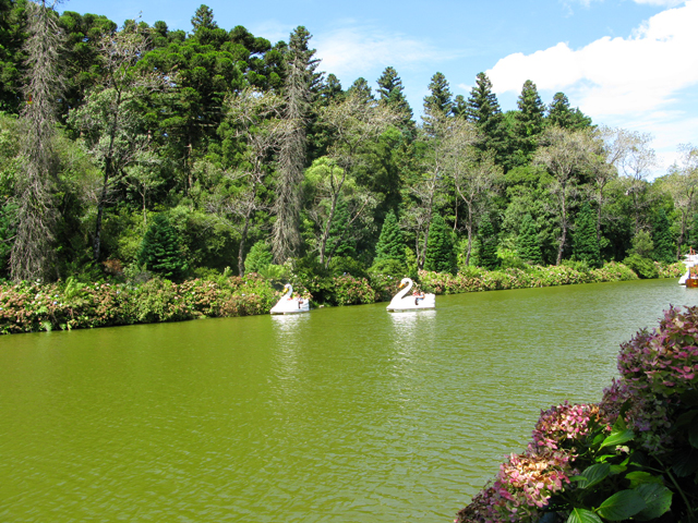 O que fazer em Gramado: visitar o básico e lindo Lago Negro.