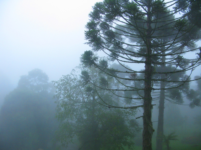 Inverno em Gramado. Foto: GC/Blog Vambora!