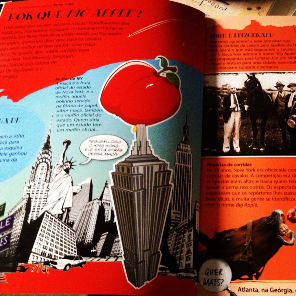 Guia Lonely Planet Proibido para adultos NY. Foto: GC/Blog Vambora!