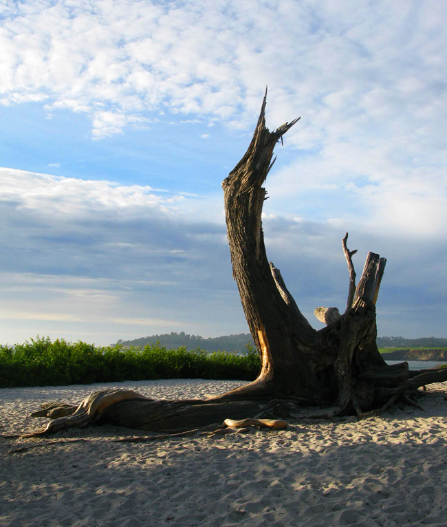 Praia em Carmel. Foto: GC/Blog Vambora!