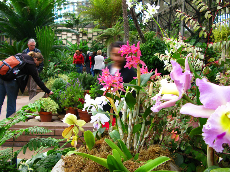 San Diego Botanical Garden Foundation. Foto: GC/Blog Vambora!
