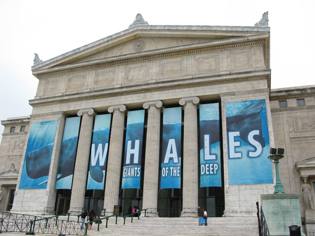 Fachada do Field Museum. Foto: GC/Blog Vambora!