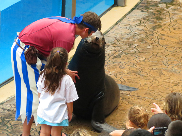 Clyde and Seamore. Foto: GC/Blog Vambora!