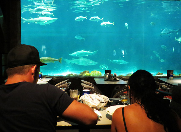 Sharks Underwater Grill SeaWorld Park Orlando. Foto: GC/Blog Vambora!