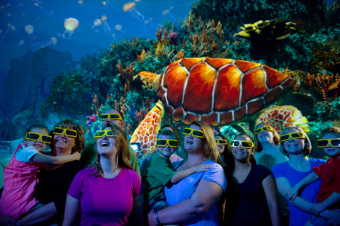 TurtleTrek SeaWorld Park Orlando. Foto: Divulgação