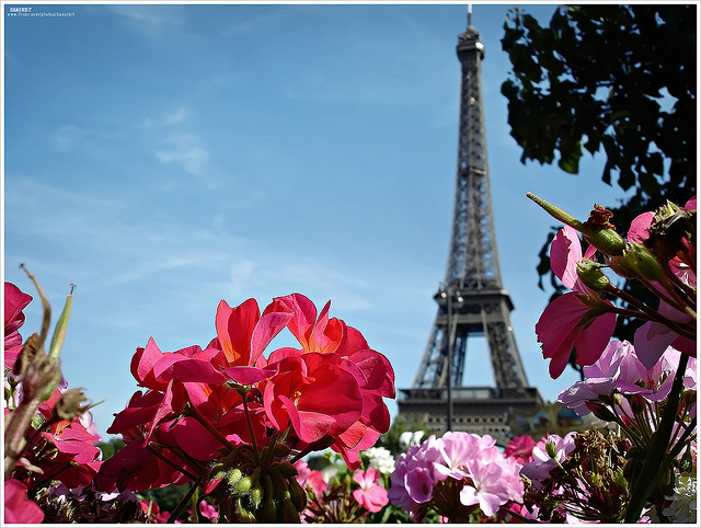 torreEiffel_Paris_danorbit_Flickr Torre Eiffel em Paris. Foto: danorbit, Flickr