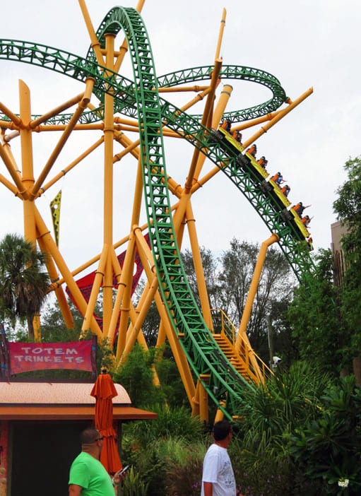 CHEETAH HUNT 