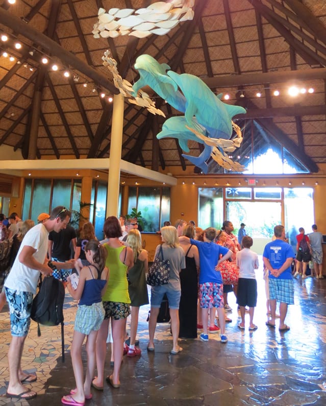 Discovery Cove, Orlando