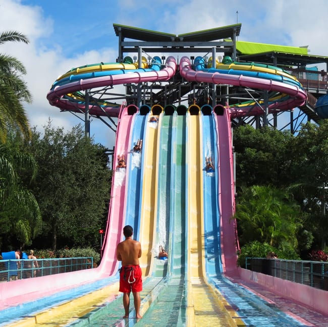 Toboáguas Taumata Racer no Aquatica