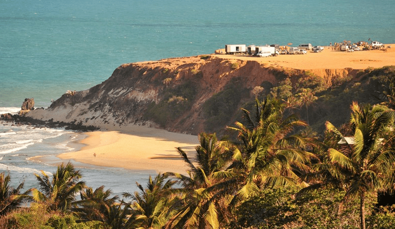 Rio Grande do Norte, Flor do Caribe