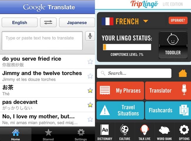 Google translate app e triplingo