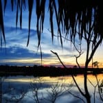 Relato de viagem: Uma viagem para o Amazonas – Introdução (com video)