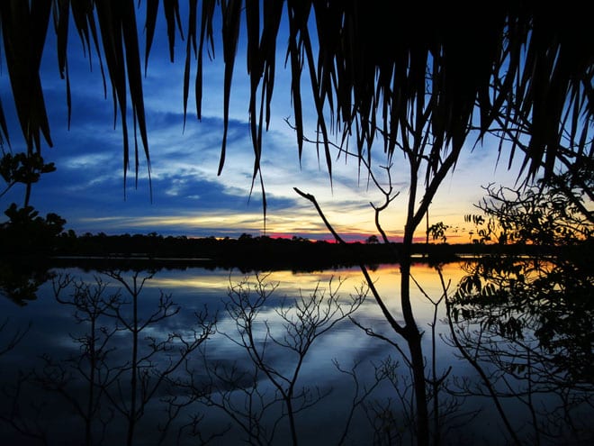 Viagem para o Amazonas