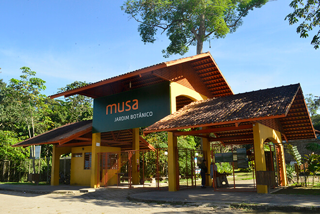 Musa - Museu da Amazonia