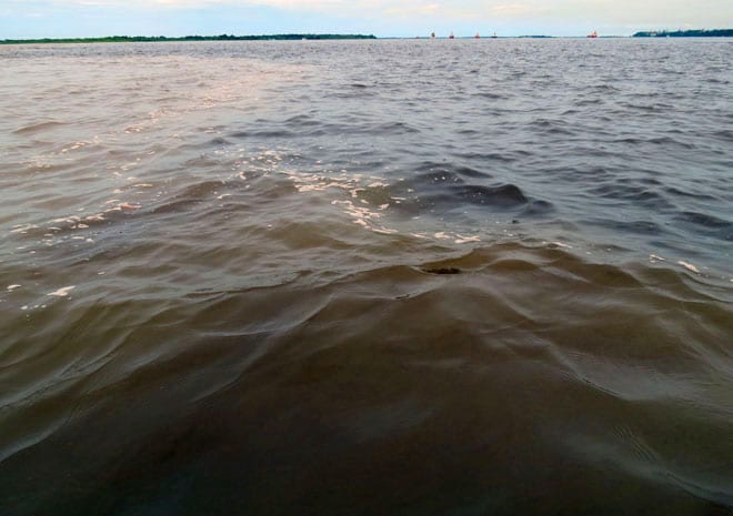 Encontro das Águas em Manaus