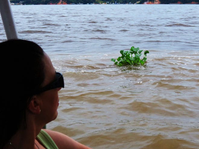 Rio Negro e Rio Solimões