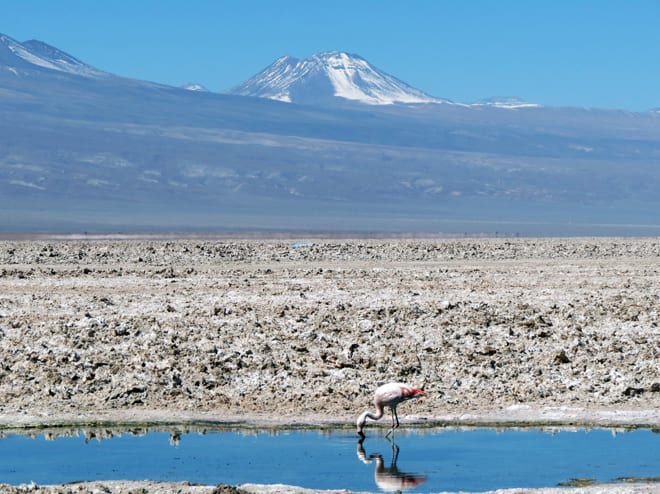 Salar do Atacama