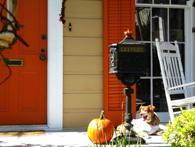 Decoração de Halloween em New Orleans