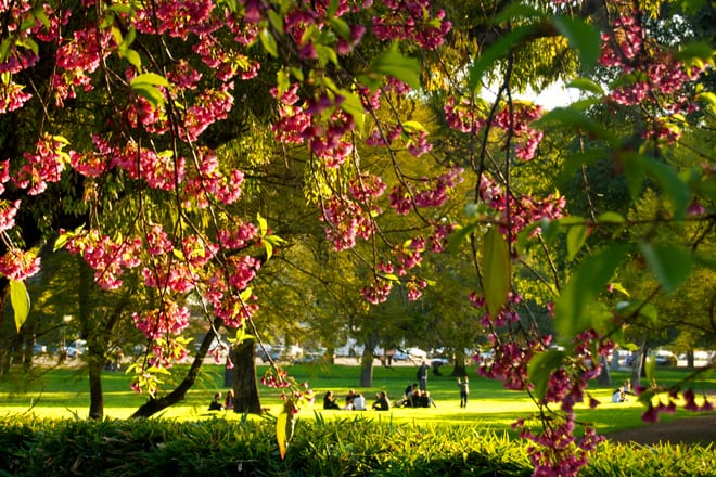 Primavera em Buenos Aires Primavera em Buenos Aires