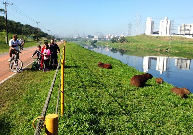 Ciclovia do Rio Pinheiros