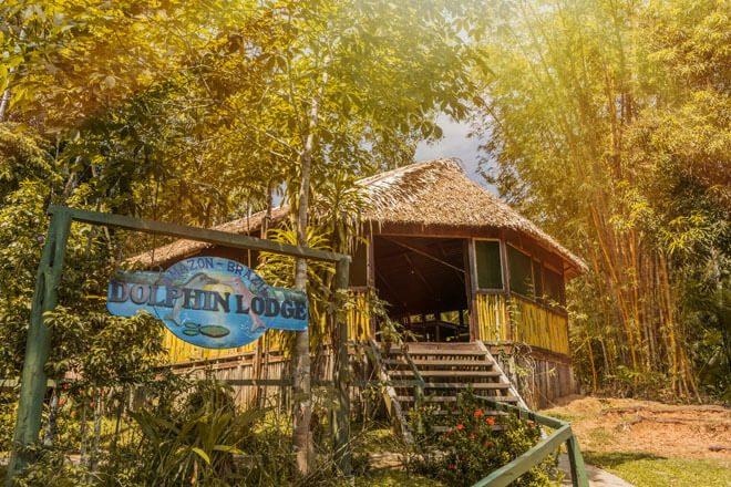 Dolphin Lodge - hotel de selva