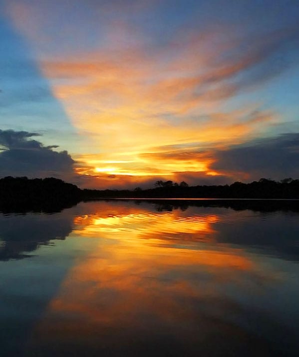 Nascer do sol na Floresta Amazonica