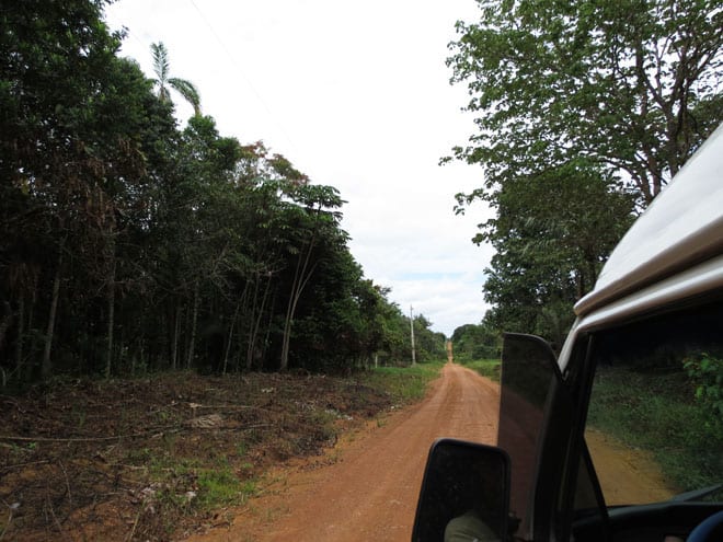 Estrada Amazônia