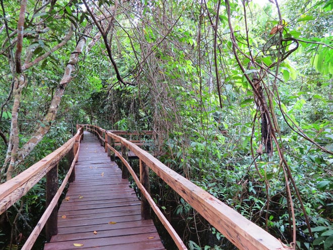 Passarelas Juma Amazon Lodge