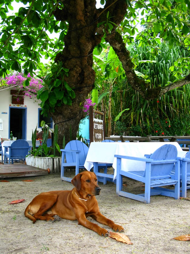 Quadrado de Trancoso