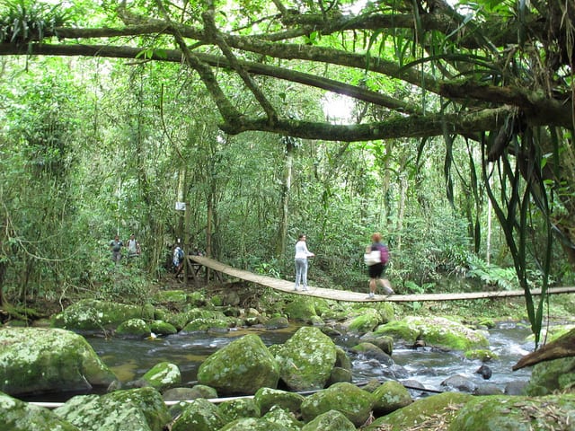 Trilha Cachoeira do Gato Trilha Cachoeira do Gato