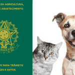 Vivendo e aprendendo: 11 fatos e curiosidades de viagem – Verdade ou Mentira? Passaporte para caes e gatos
