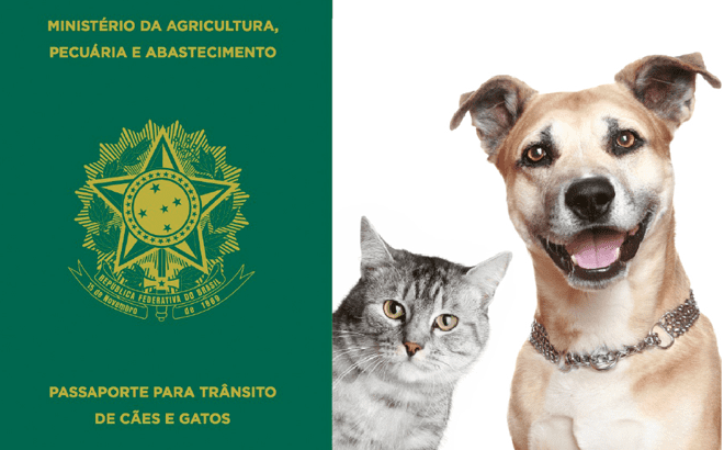 Curiosidades de viagem: Passaporte para caes e gatos