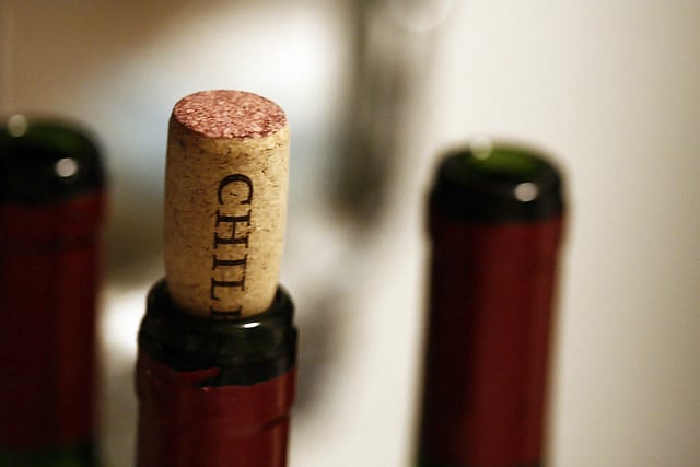 Vinhos chilenos Vinhos chilenos