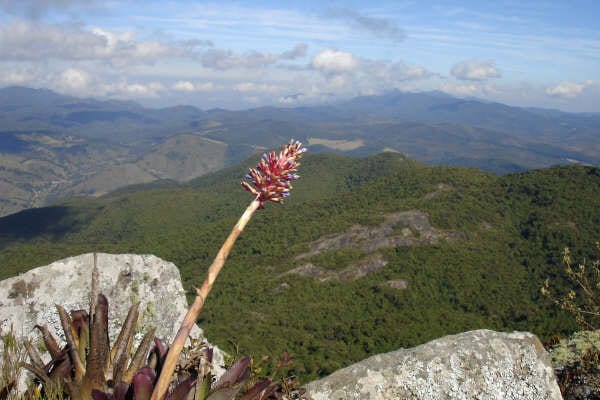 Pedra do Forno