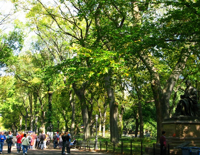 The Mall Central Park