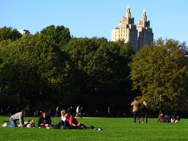 Great Lawn Central Park